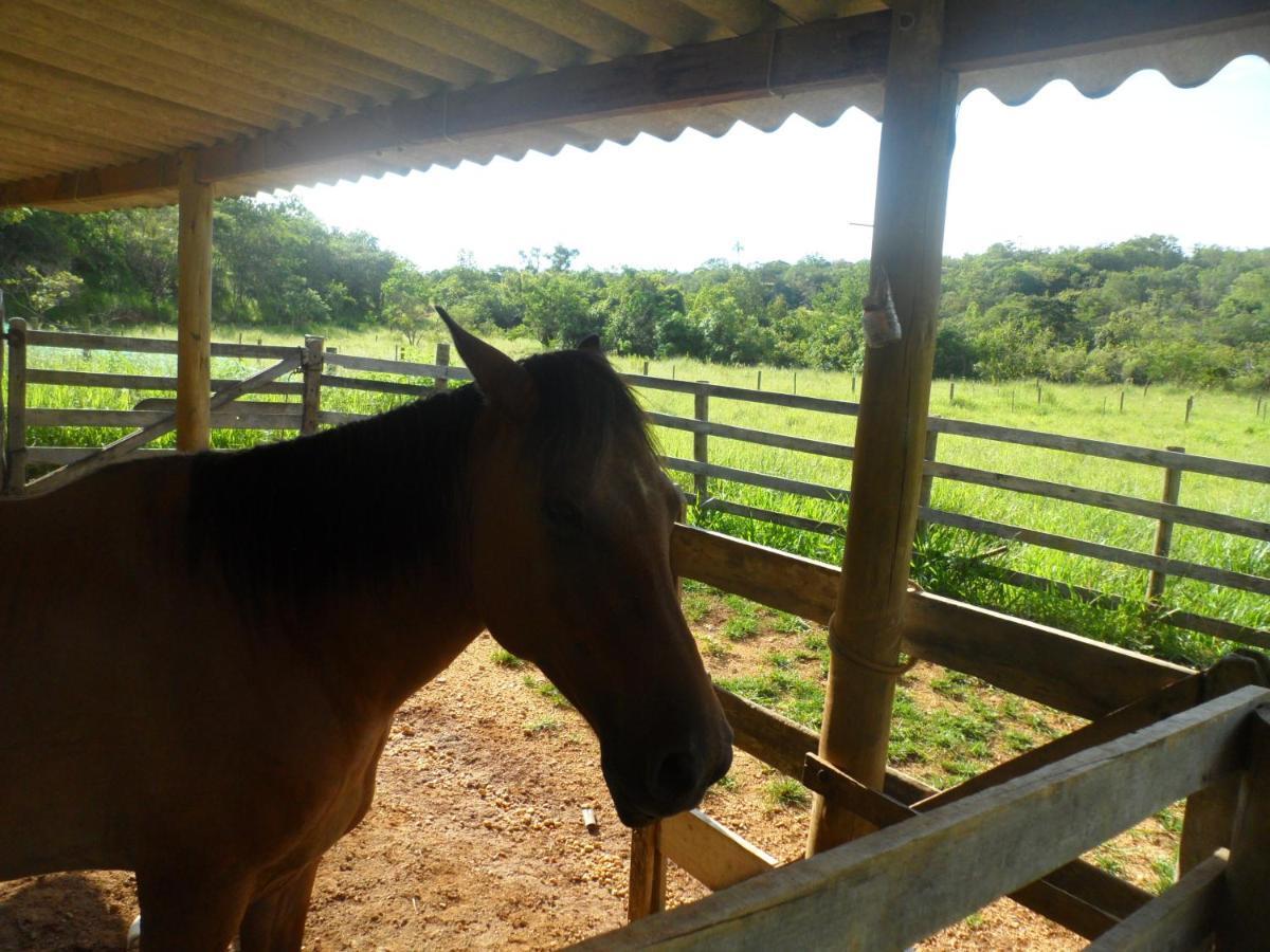 Pousada Estancia Macaubas - São Roque de Minas Eksteriør bilde